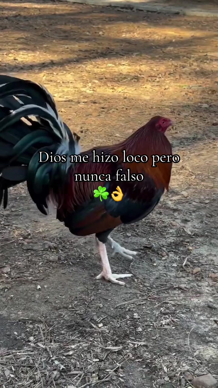 @Los tres pilones