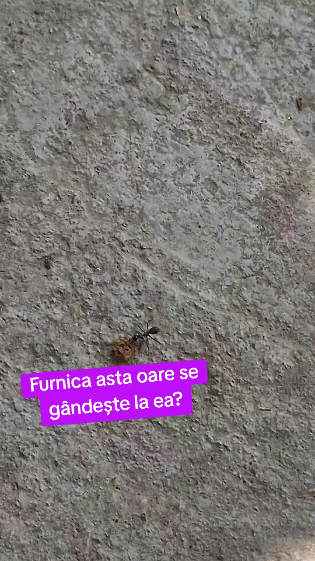 @Sabina