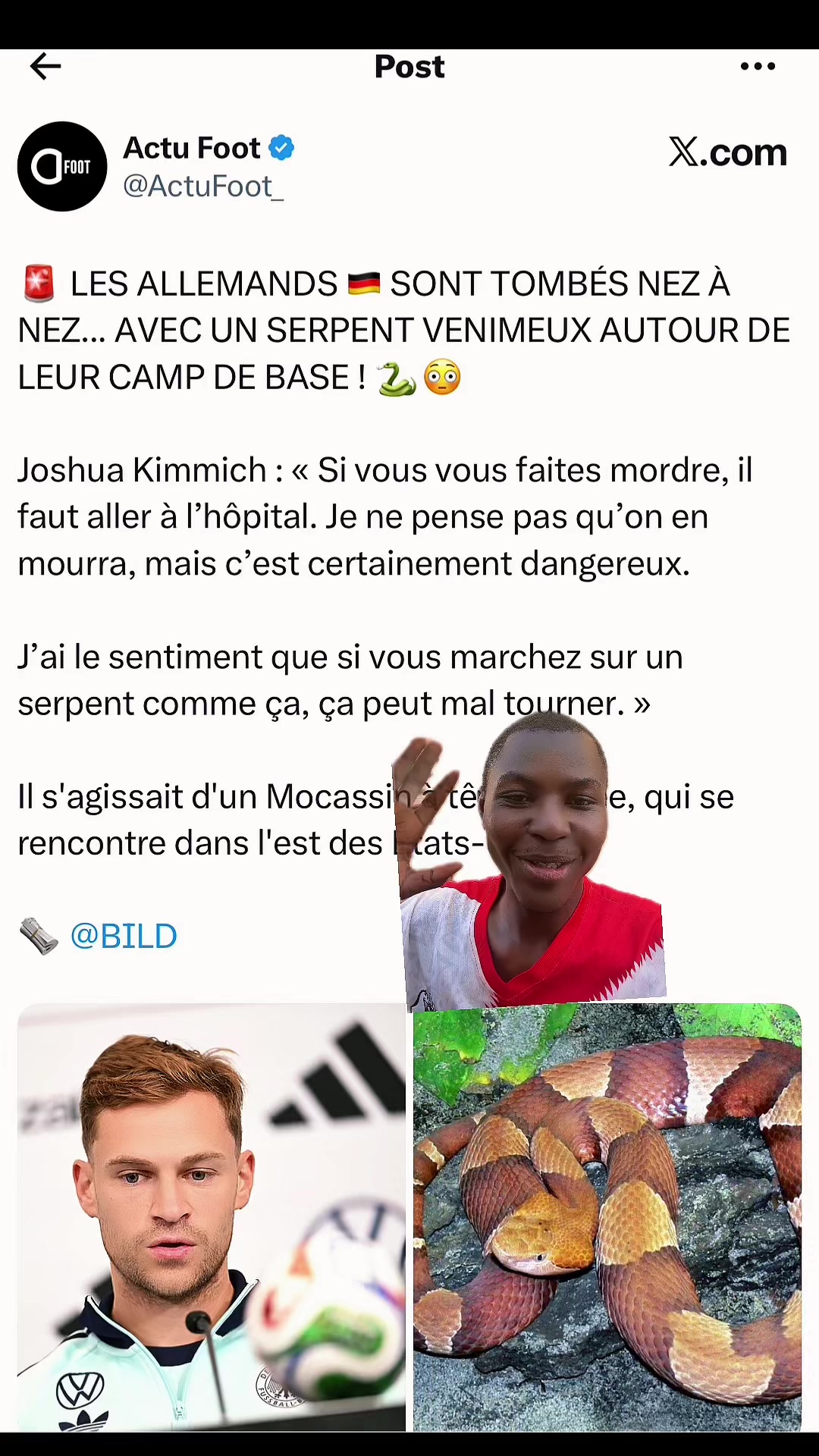 @St&eacute;phane Bassalia The Goat 🥇