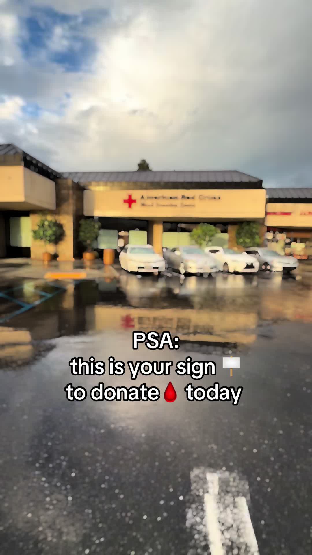 @Ms.Chilli 🌶️