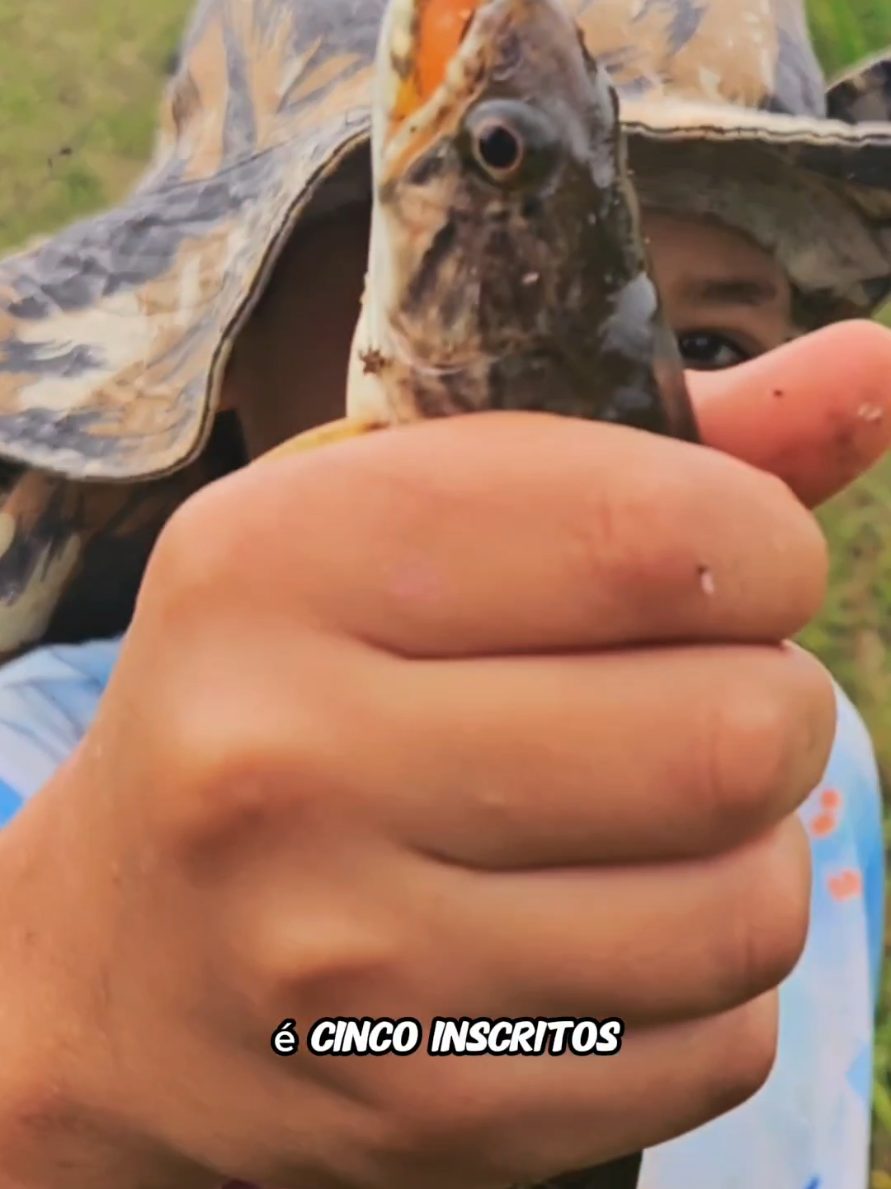 @Max Pescador 🎣
