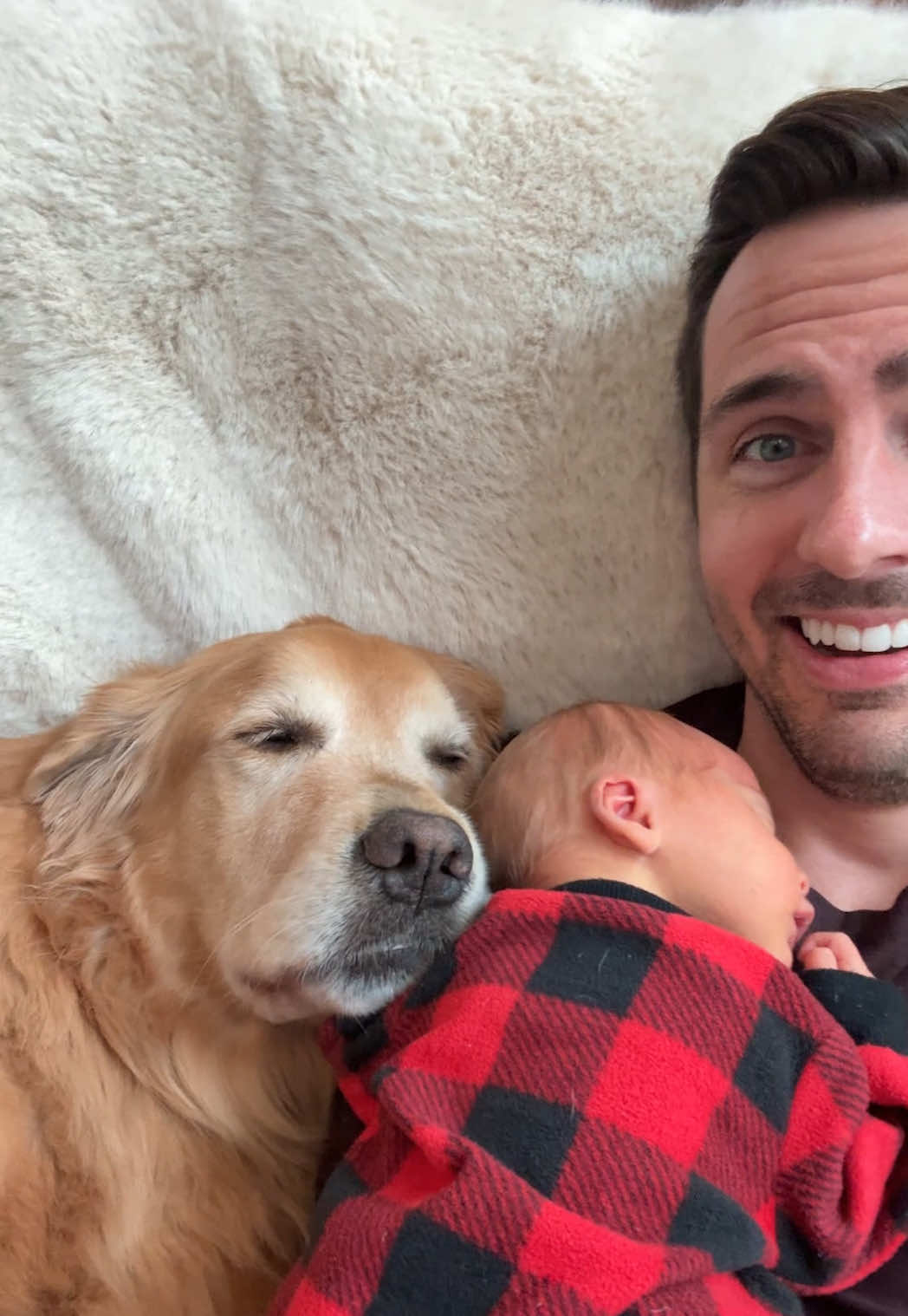 @Golden Retriever Life