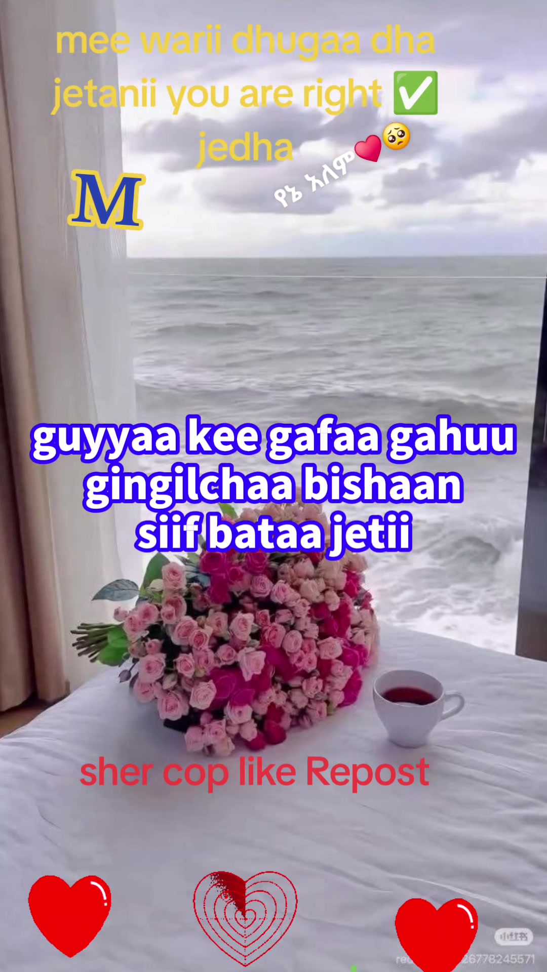 @waan ofii 667🦋❤️&zwj;🔥👉🌲✅️🌹