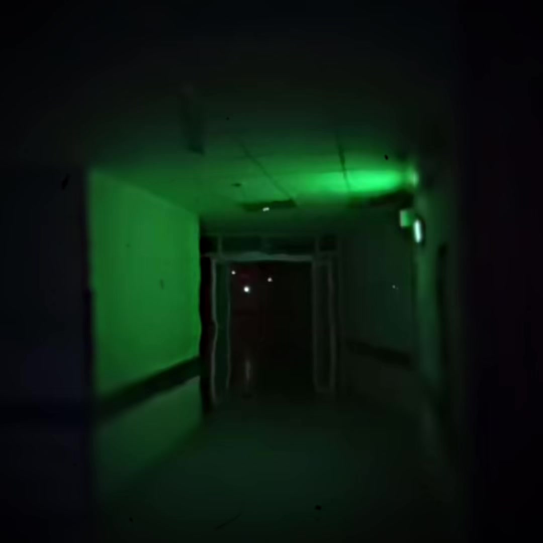 @両生類