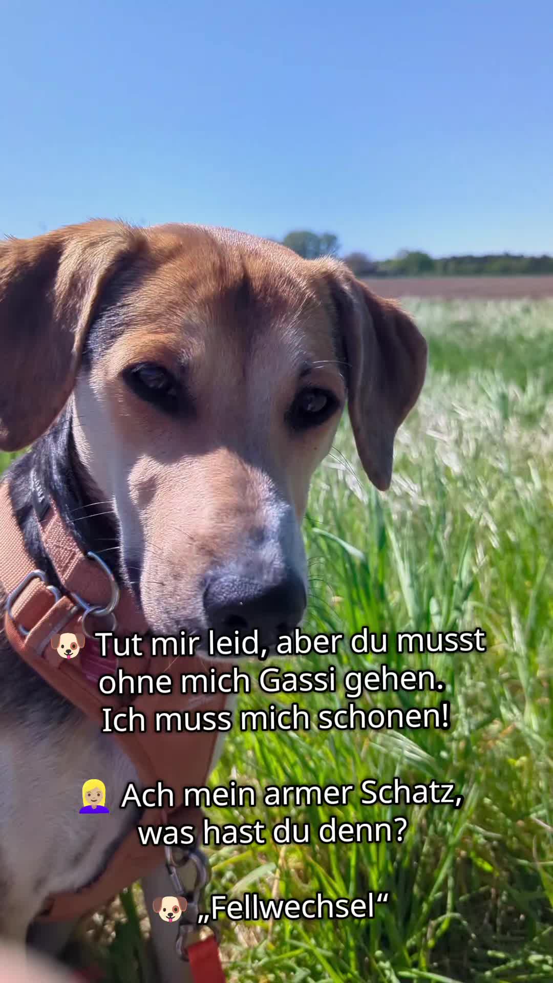 @ꪑⅈꪶꪖ ꪑꪮꪀᥴꫝꫝⅈᥴꫝⅈ
