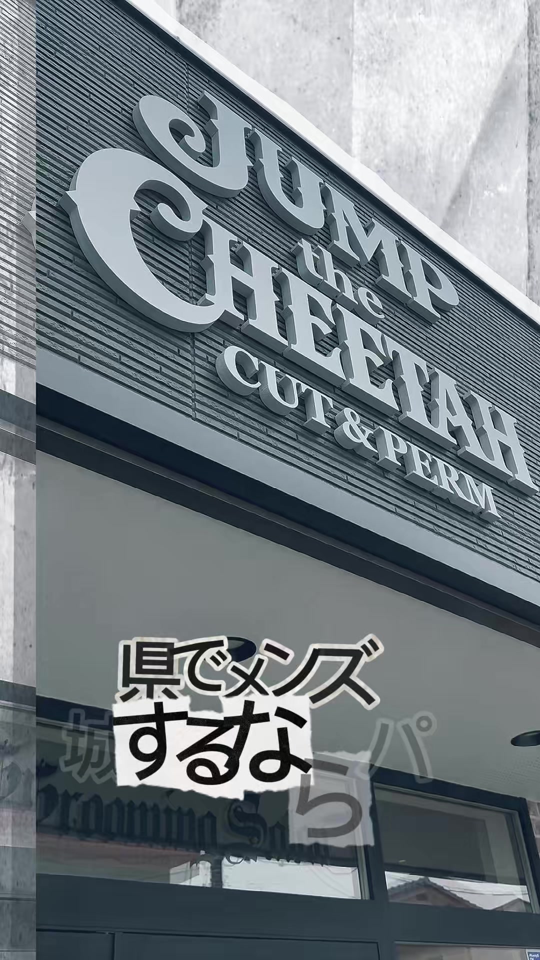 @jumpthecheetah men's salon