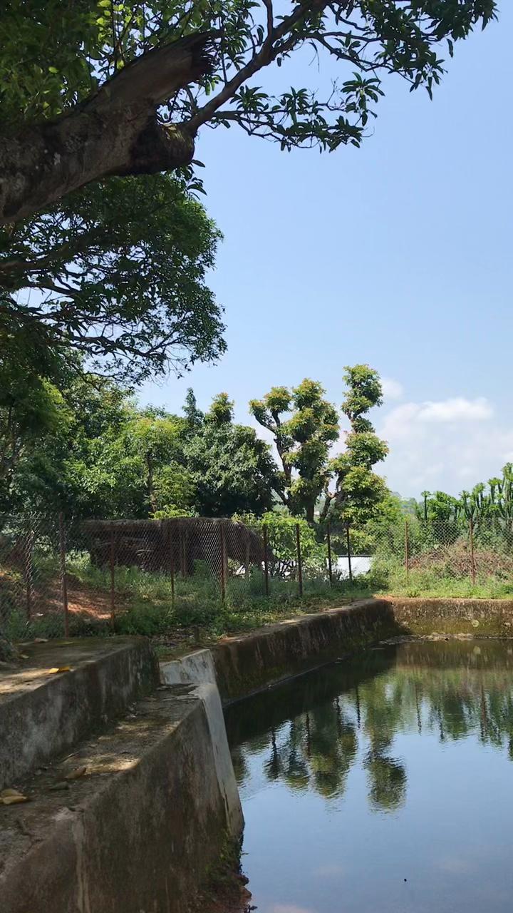 @शोभा थापा