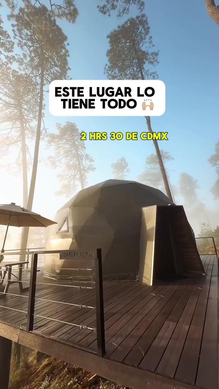 @niveckbritto