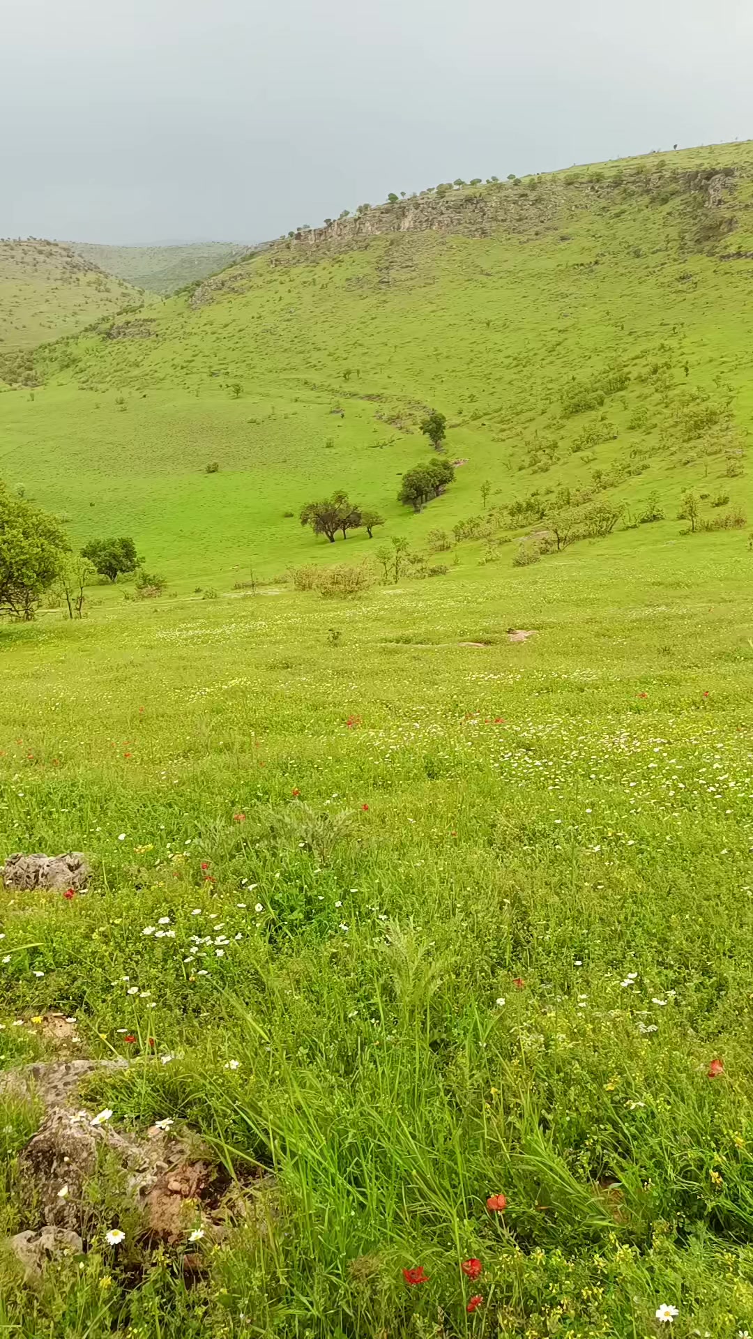 @Abdurrahim gül