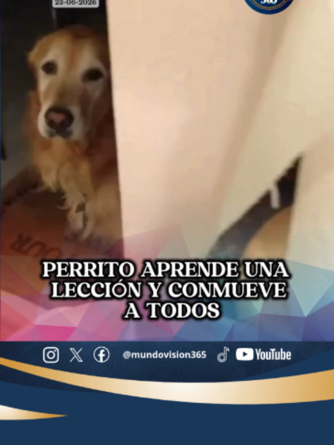 @MundoVision365