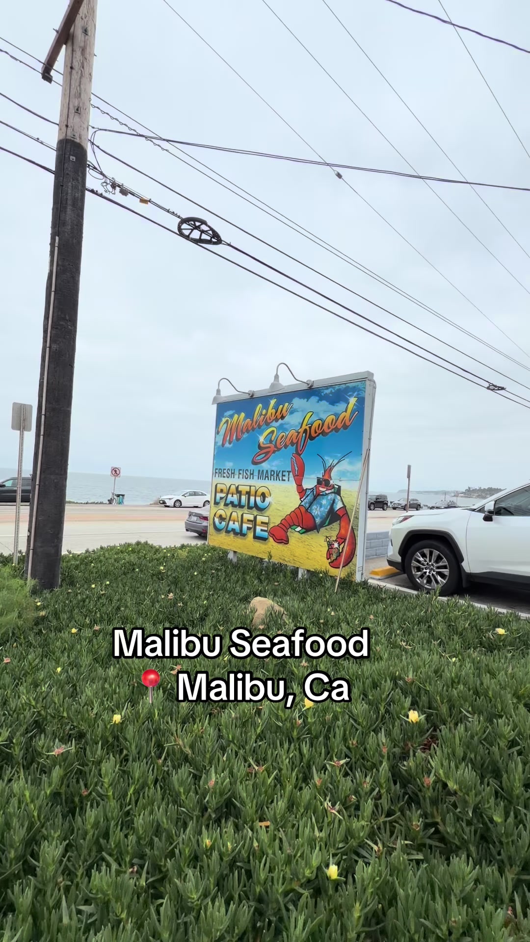 @Ms.Chilli 🌶️
