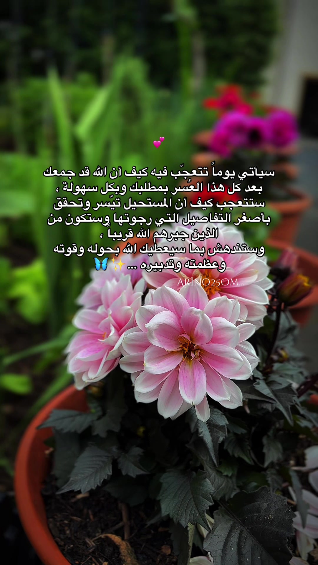 @Arîno25Om