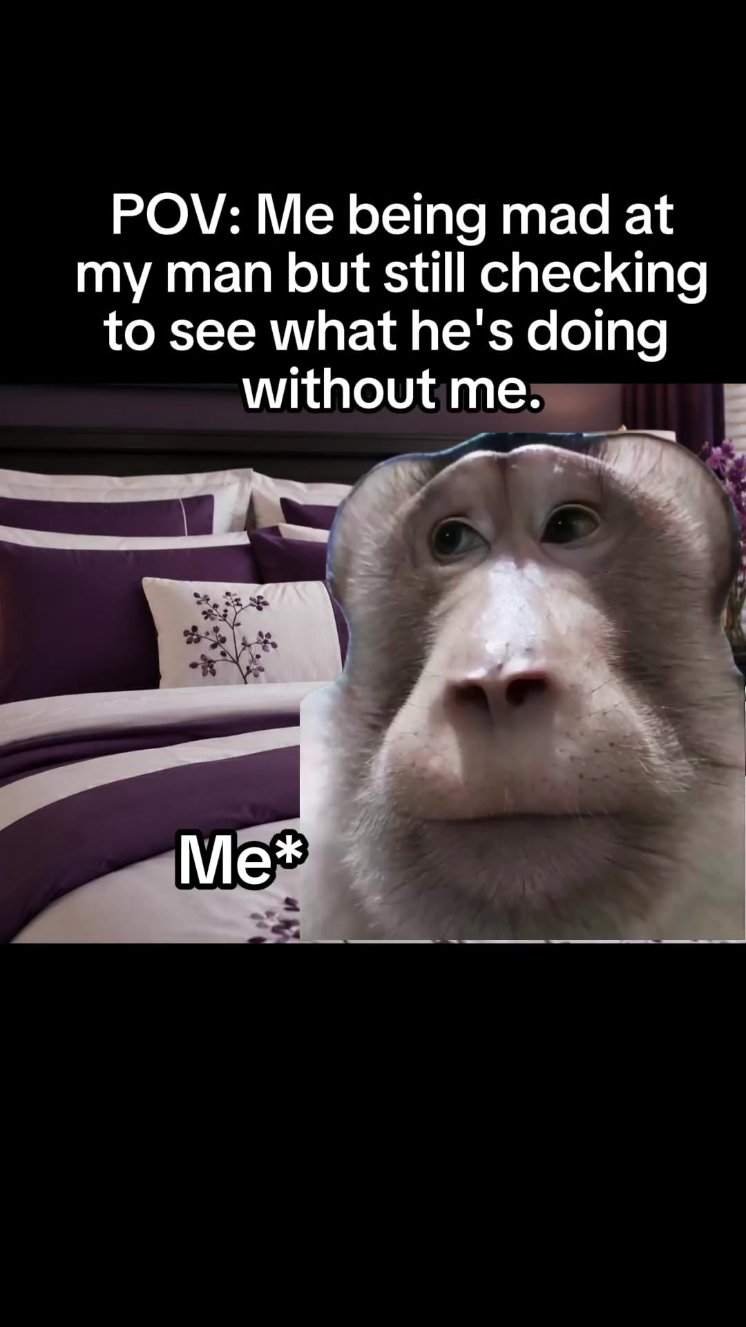 @JD Clips