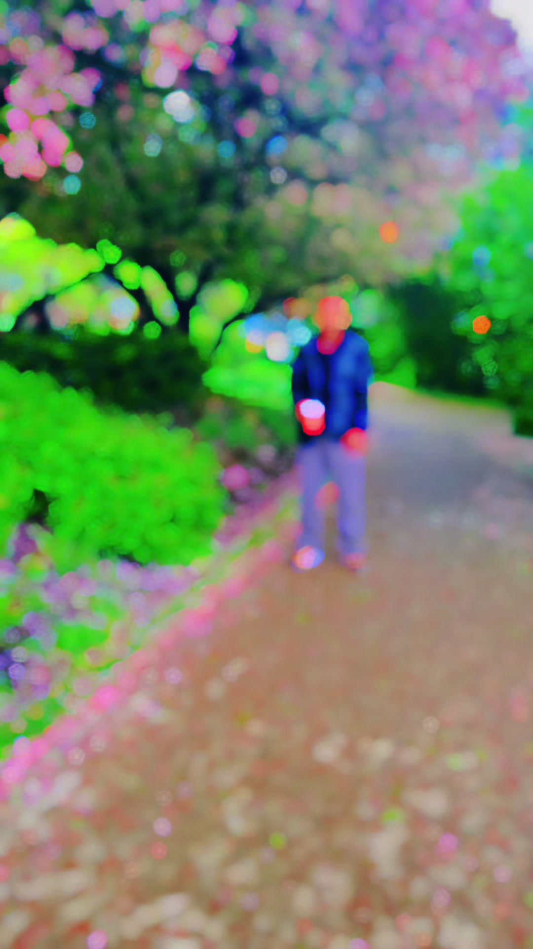 @ÄĻøØŠħ