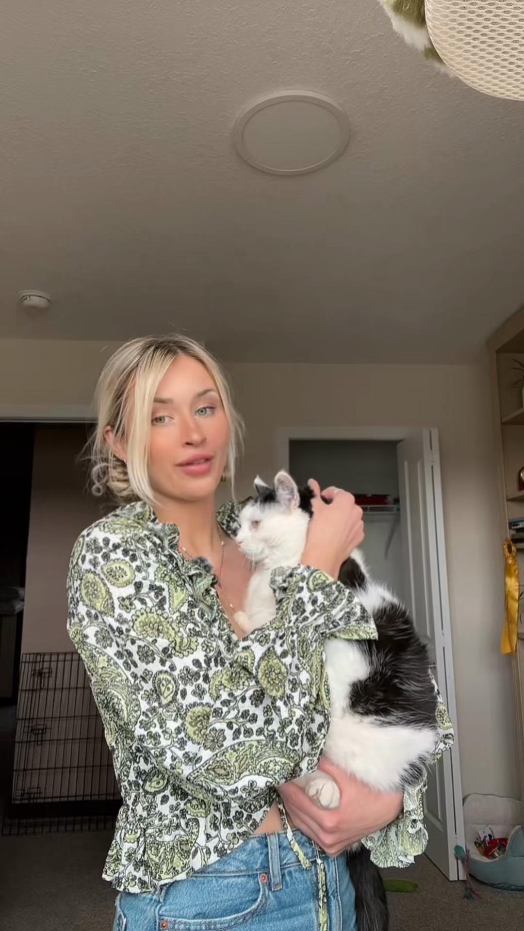 @poppytherescuecat_