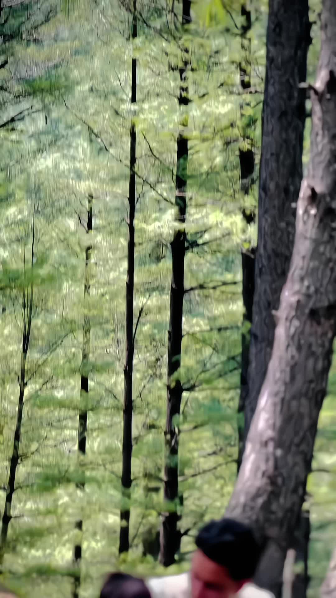 @𝄡•|•S P قلندر•|•𝄡🩹