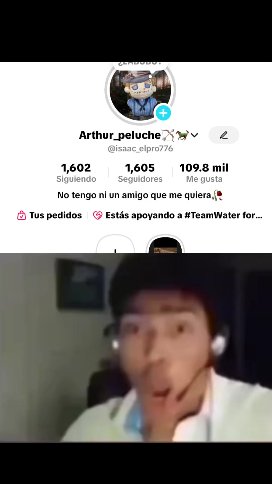 @Arthur_peluche🏹🐎