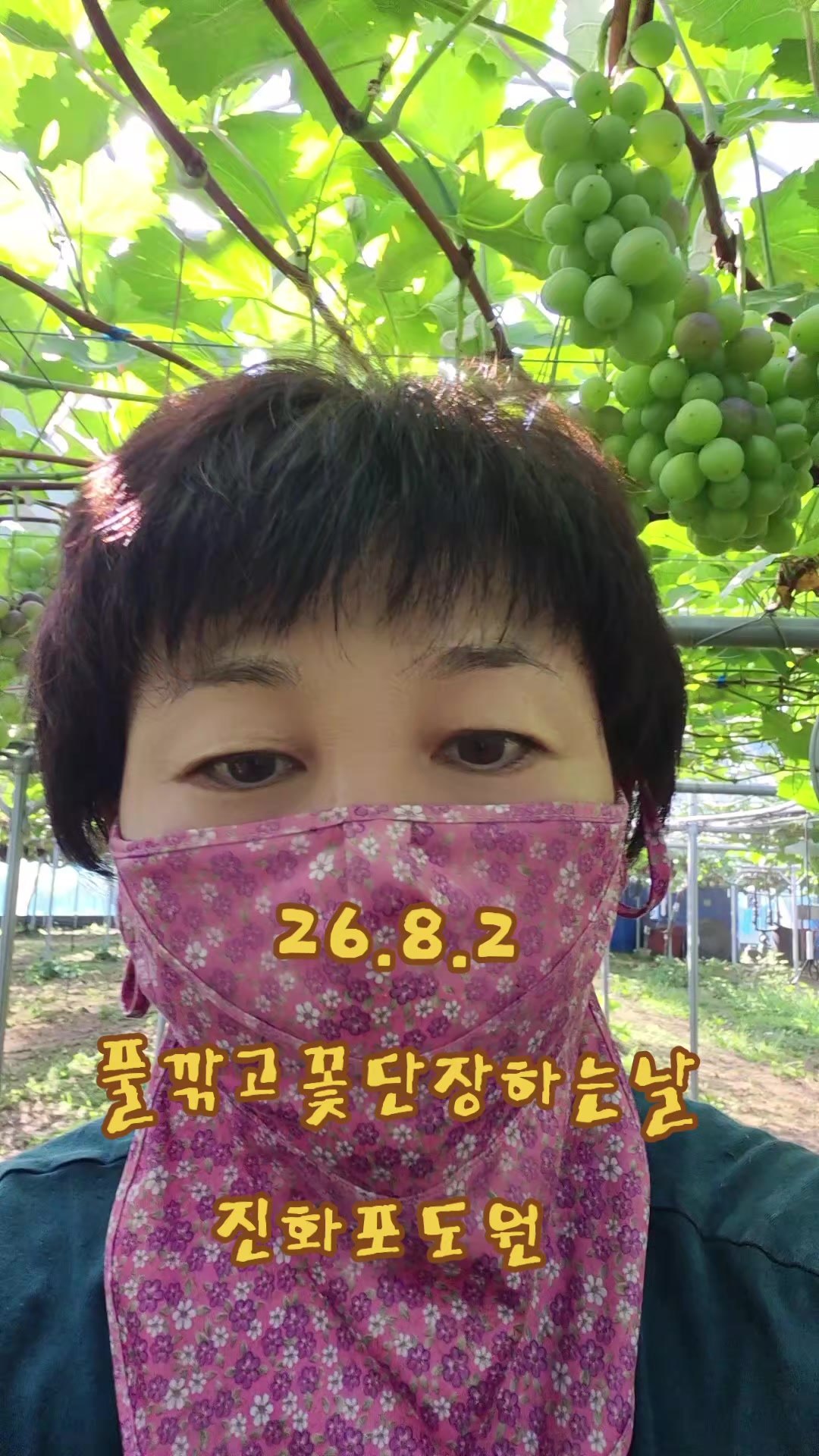 @진화포도원