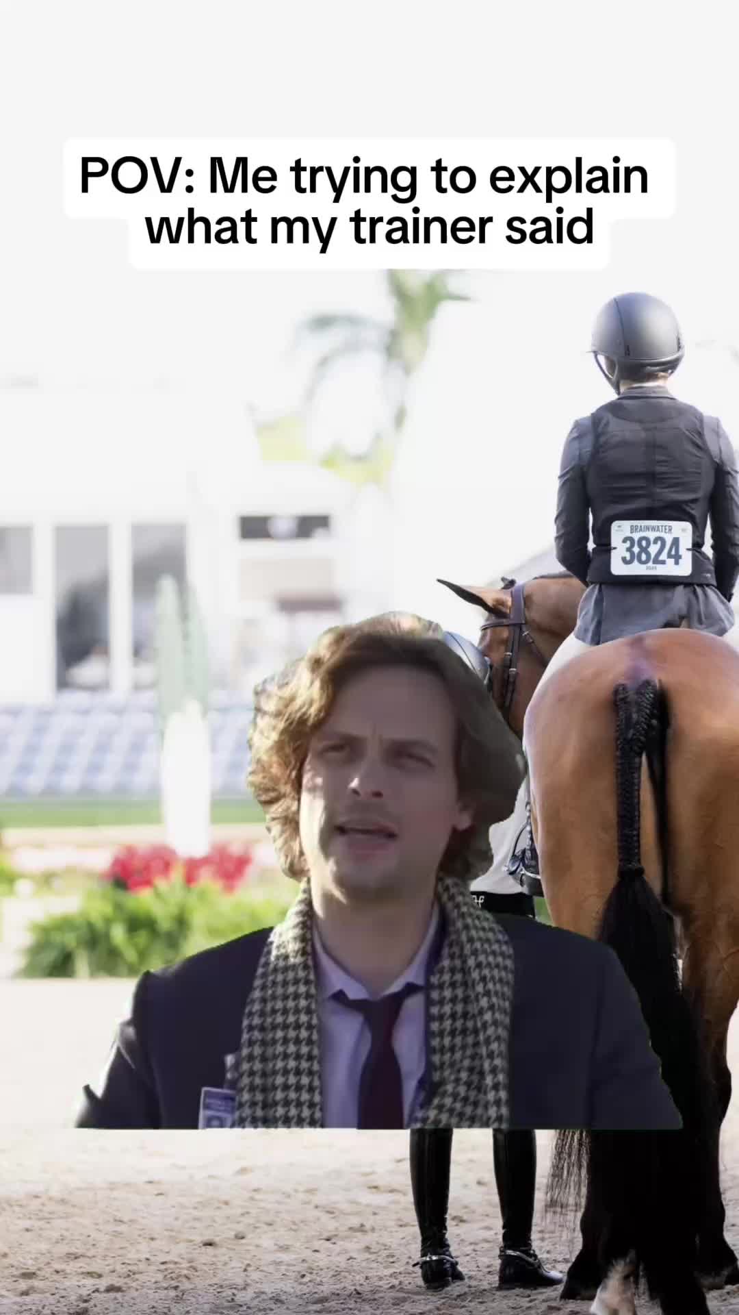 @Equisite Elements of Style