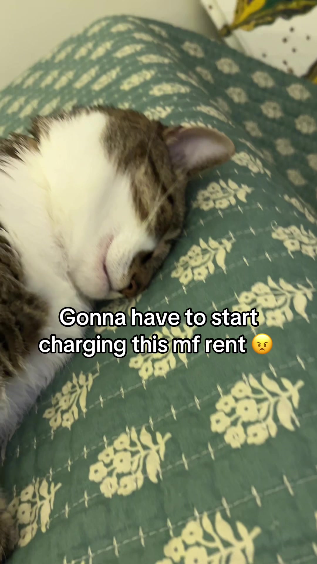 @Stormy & Sunny