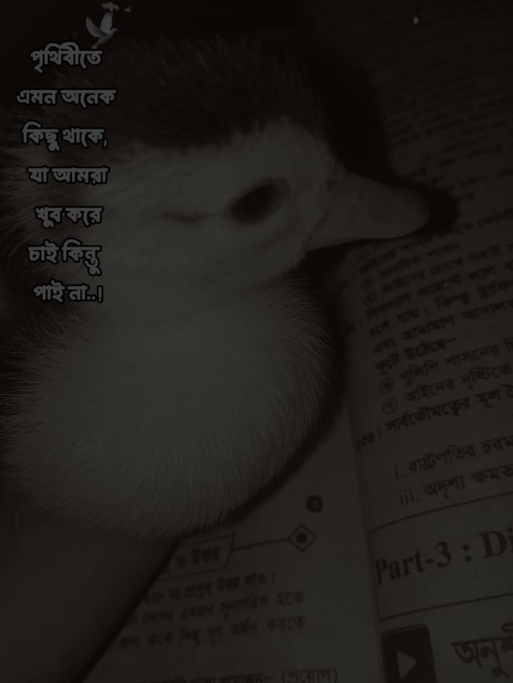 @🍂.🌿..,Eftiya,..,,..🌿.🍂