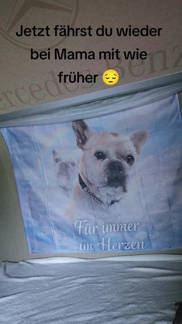 @Vici🔥Die_Echte