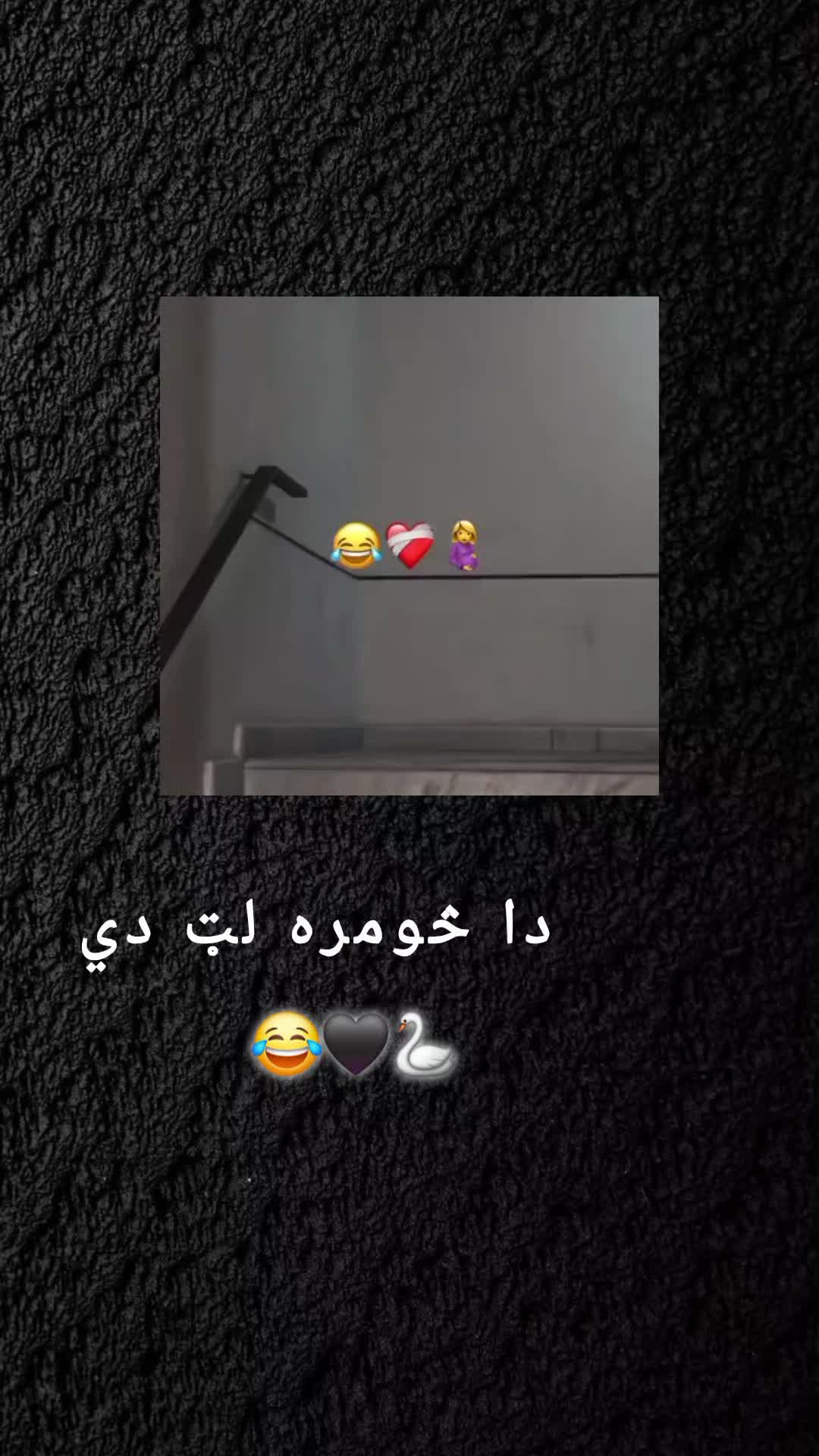 @رهــ🦢ــبر ◡̈⃝🖤