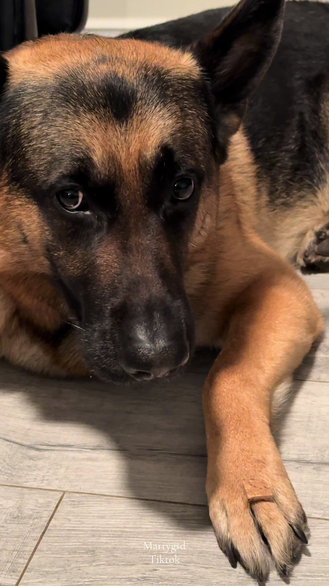 @Martygsd