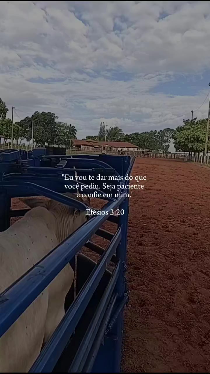 @BENEVIDES🤠🍃