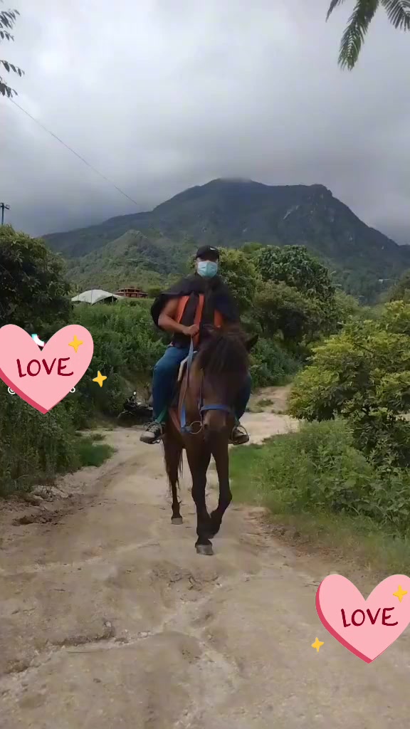 @rupakkshetri