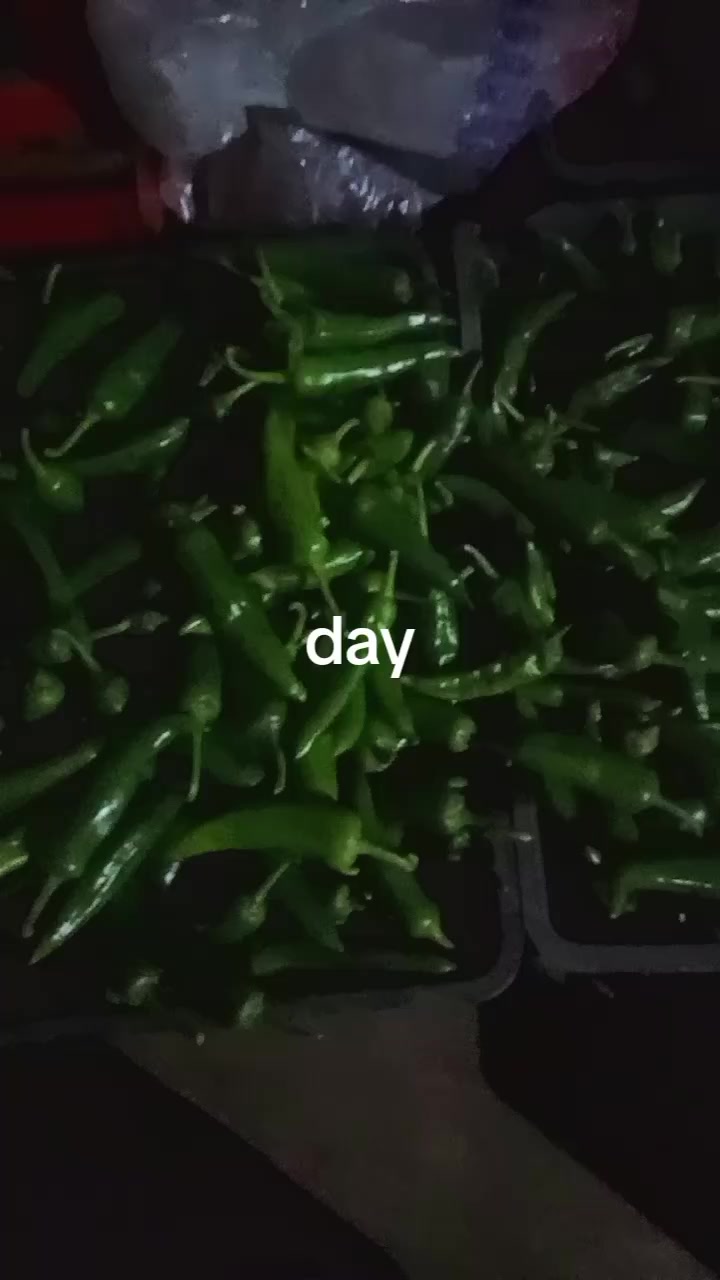 @PassangMo
