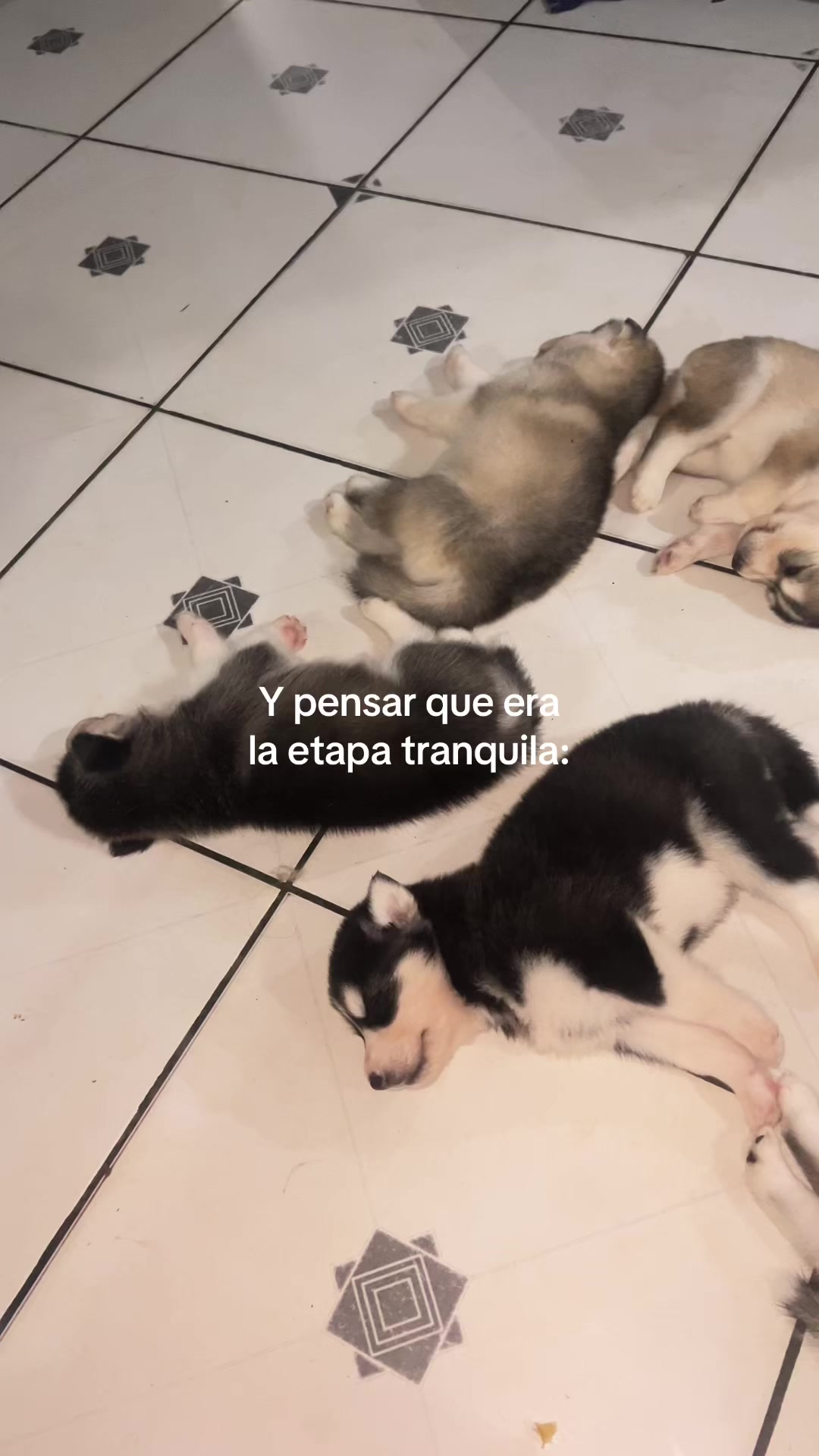 @Soy Yadi