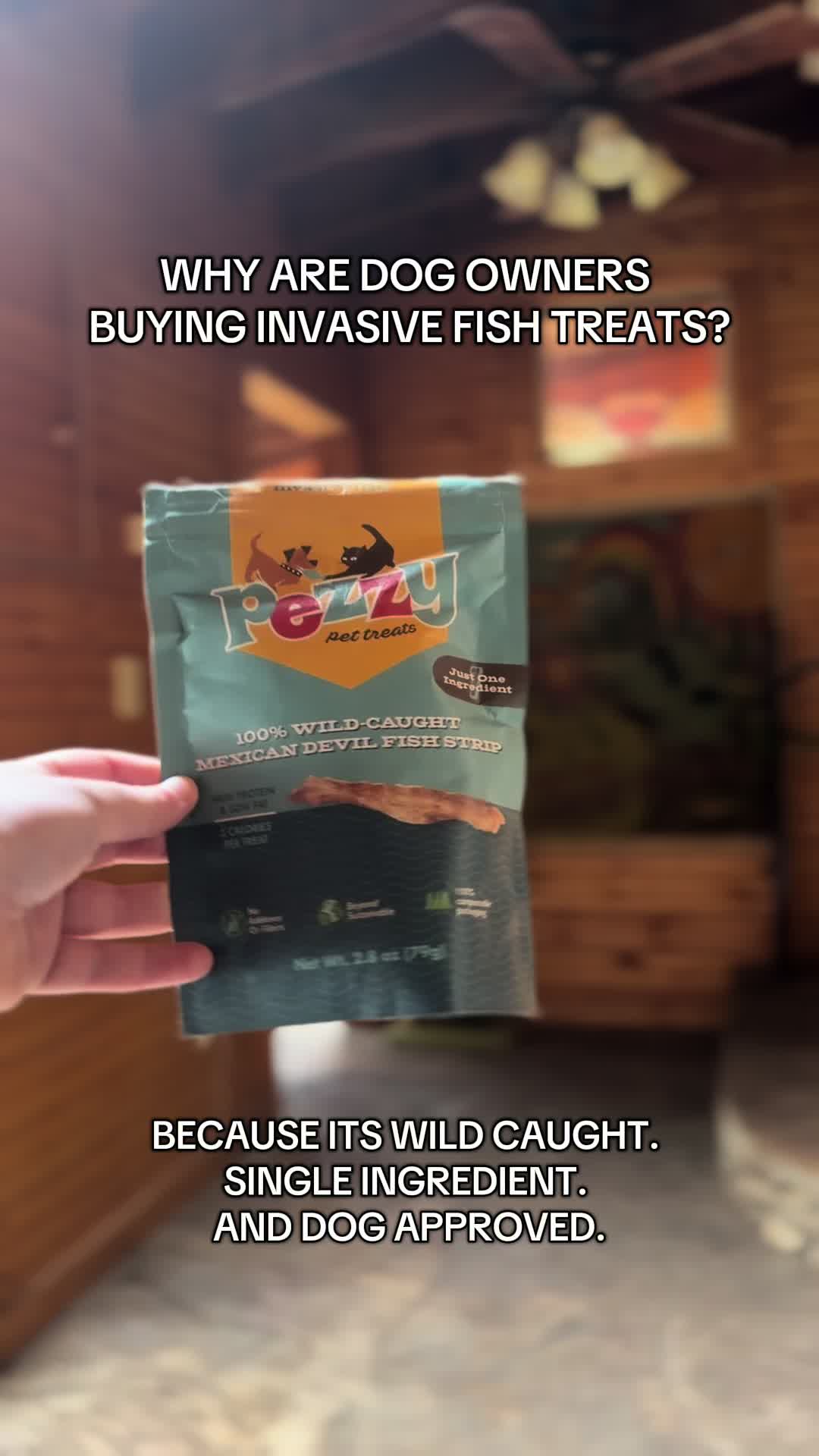 @jaysonthebag
