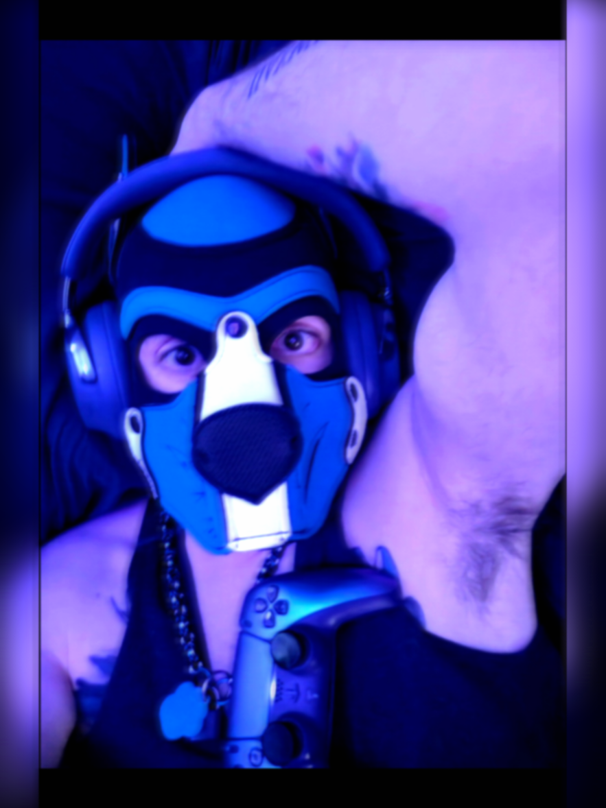 @🐾💙PupBoltBlue 💙🐾