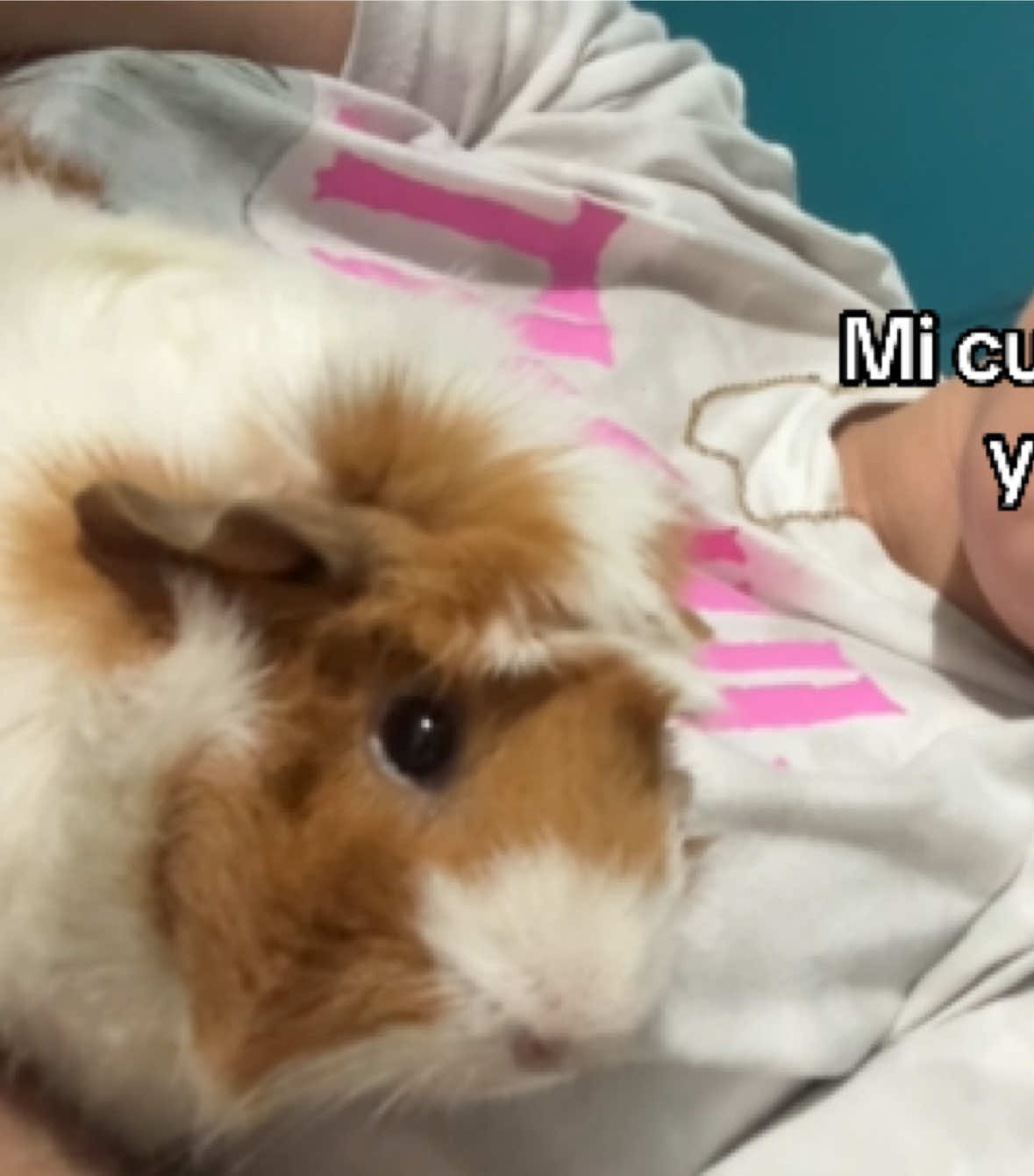 @Grecia Ramirez