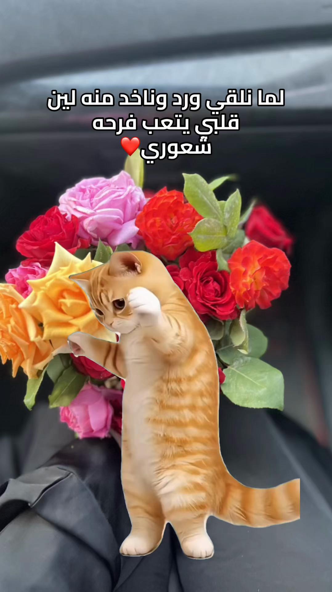 @منوشـة 👩🏻🔬💉