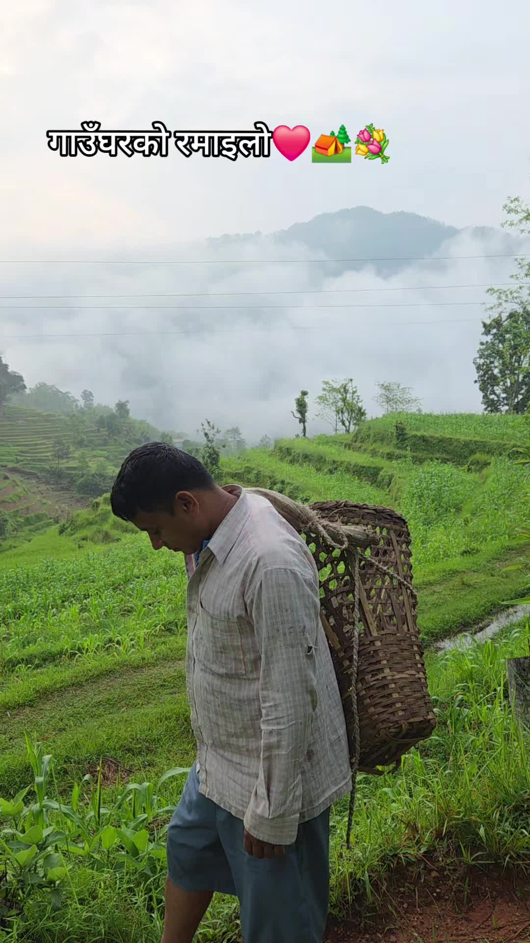 @Anish Baral