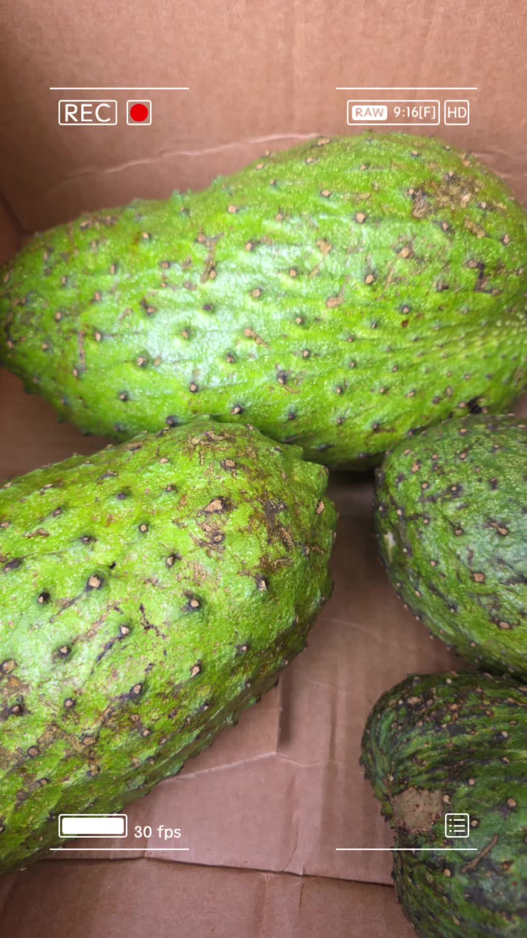 @Roti Paradise & Mohabir Fruits