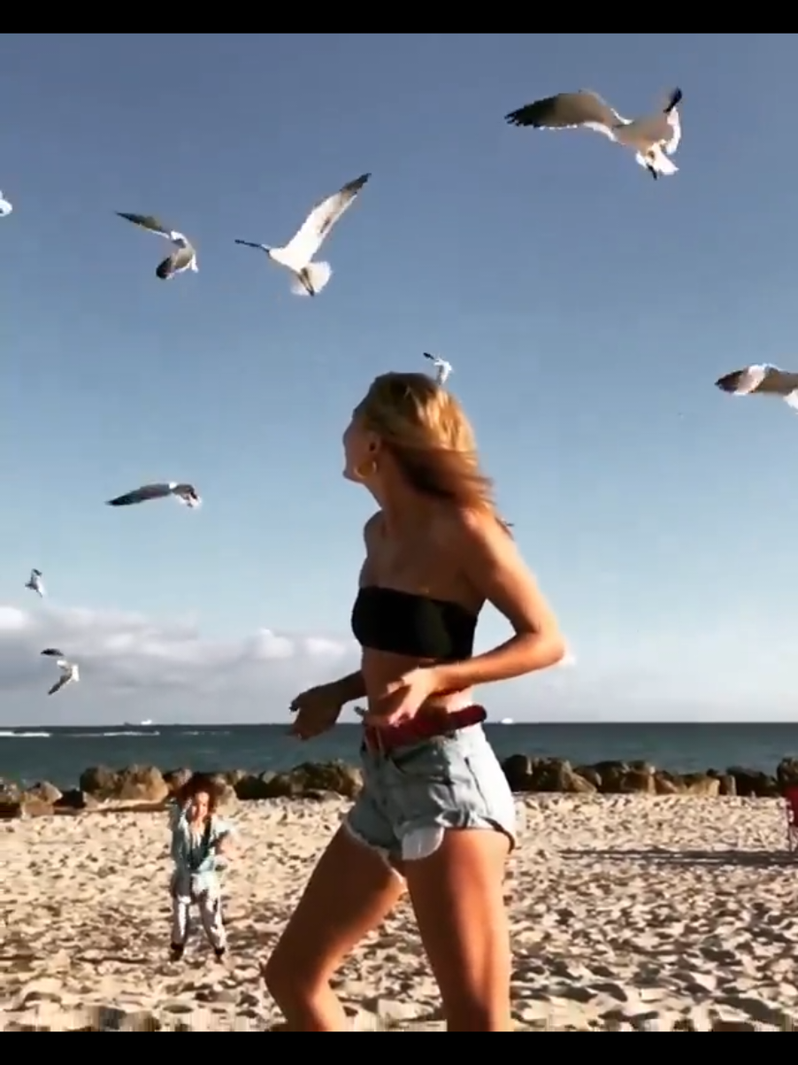 @hailsrhodefiles