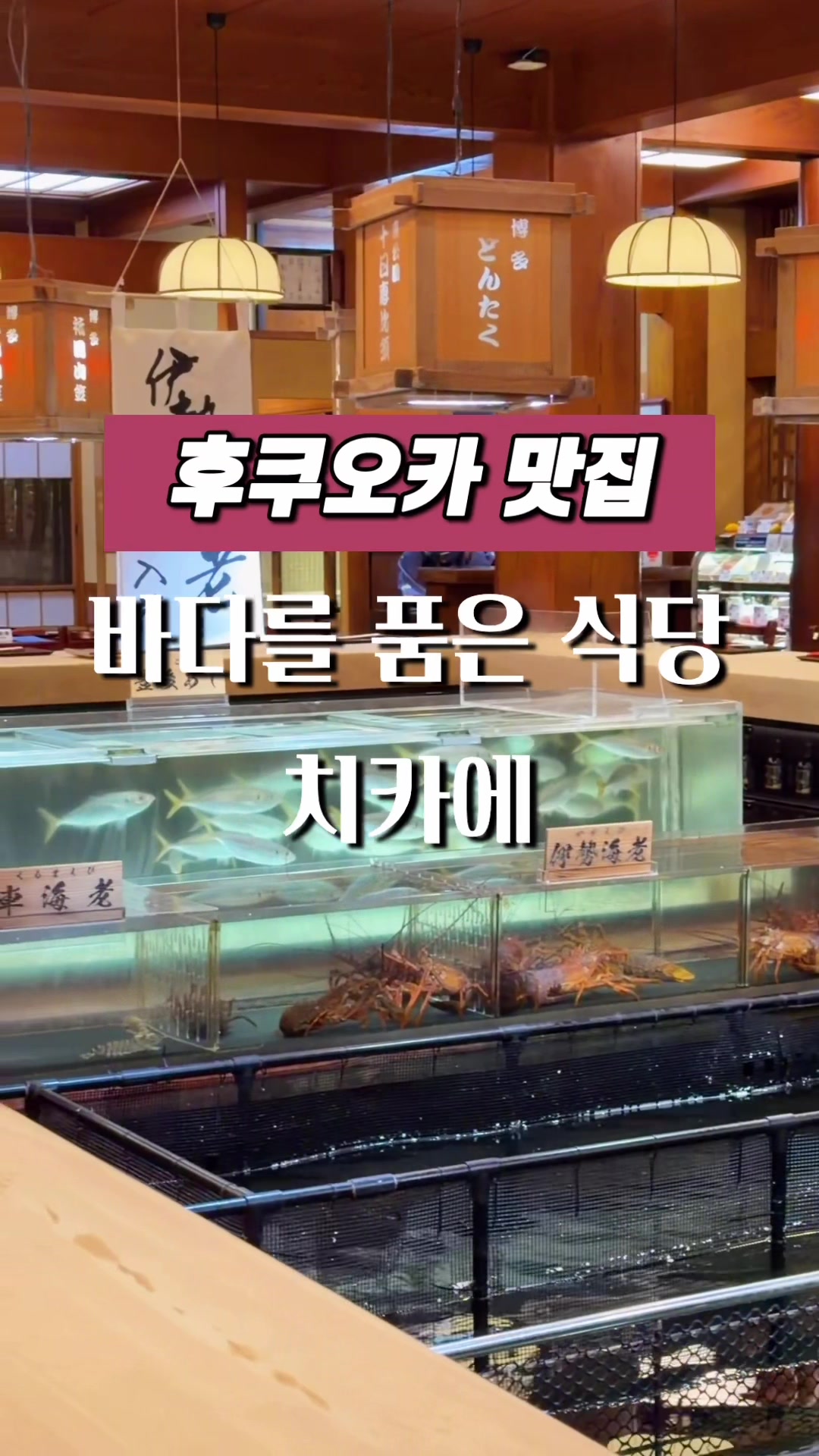 @달콤한강군