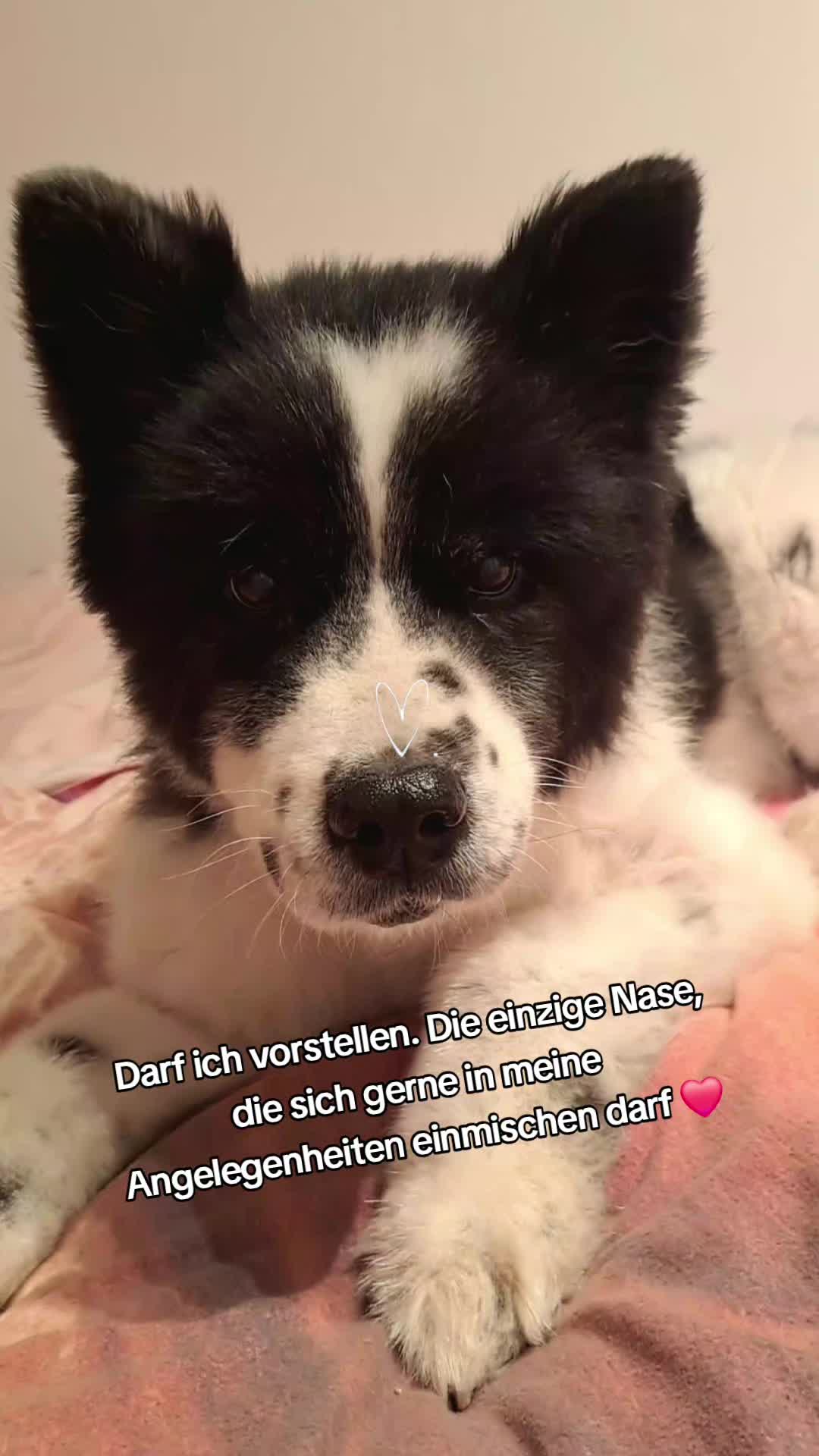 @Annie mit ie 😎