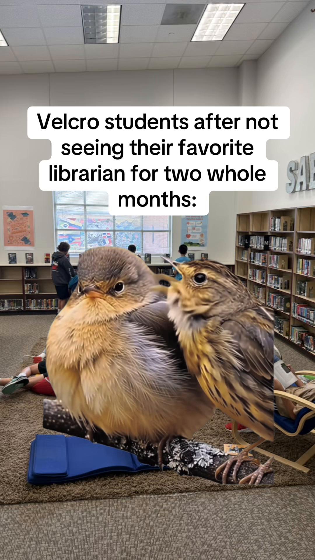 @RachaelReads