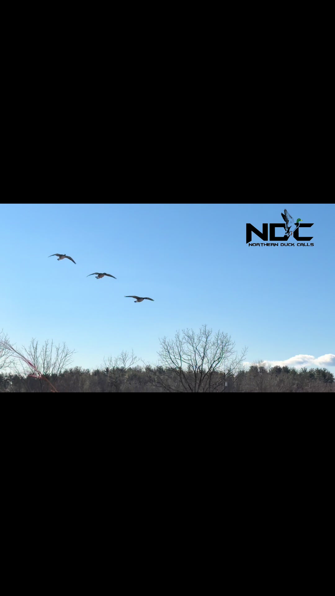 @Northern Duck Calls