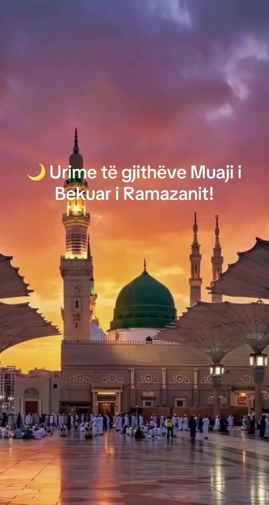 @Mirvete