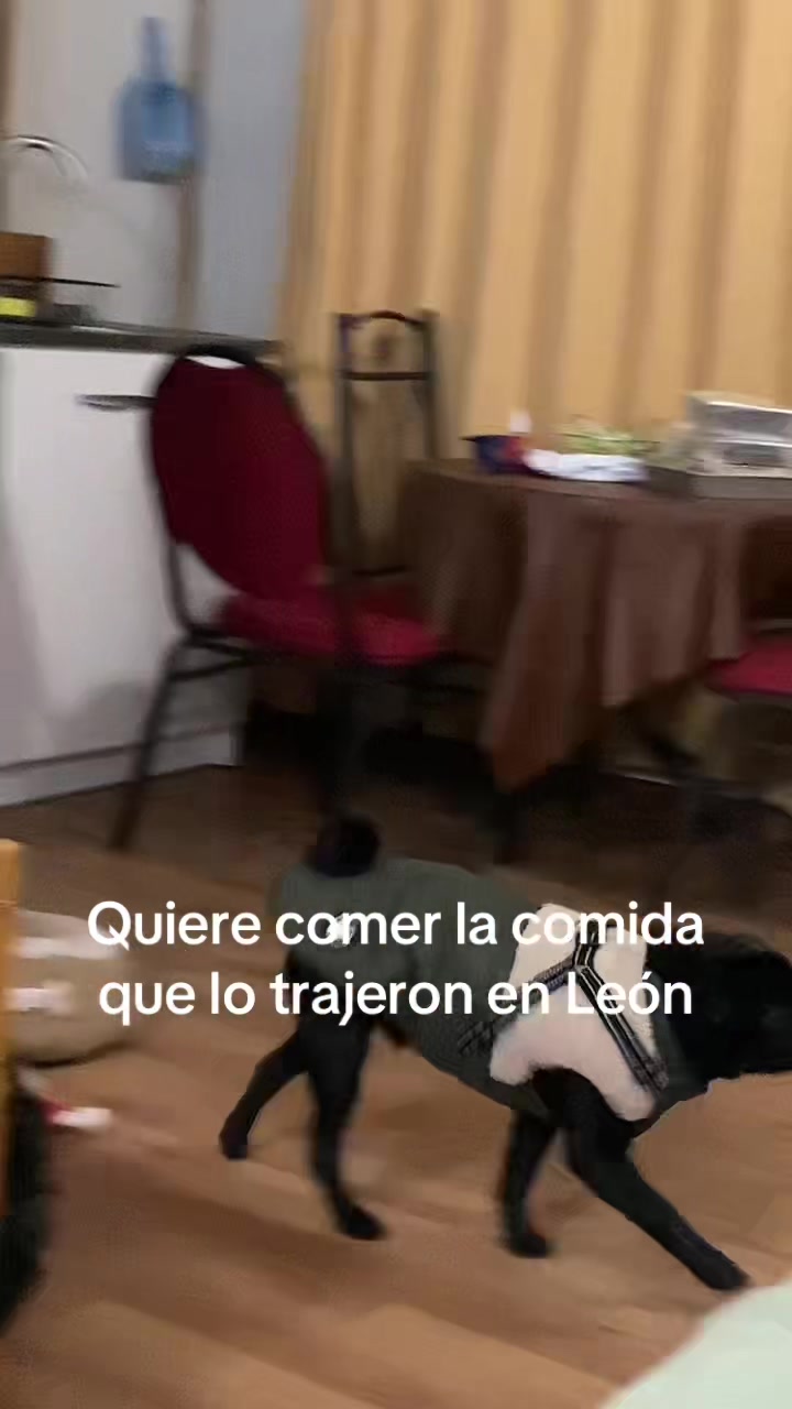 @Sandrita