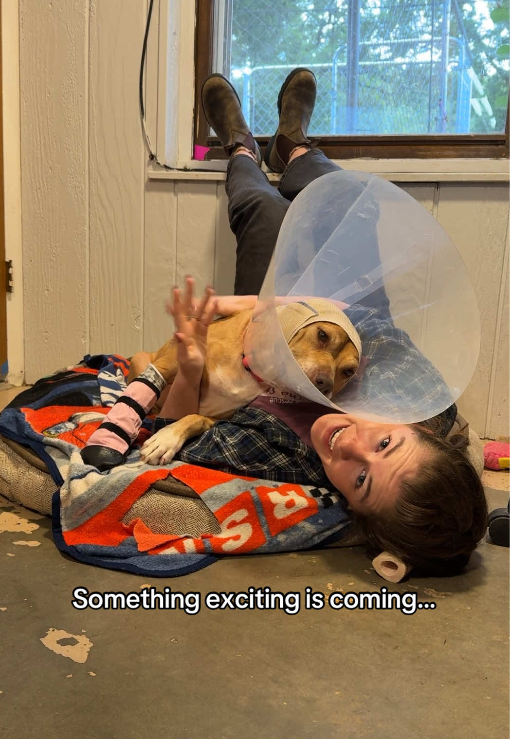 @sftsanimalrescue