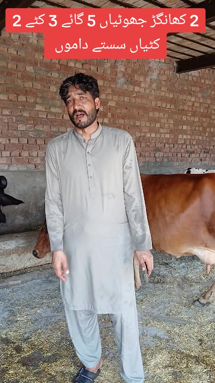 @Farming and Business Ideas