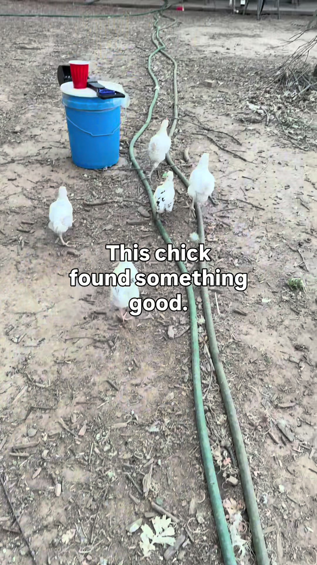 @The Real Estate Chick
