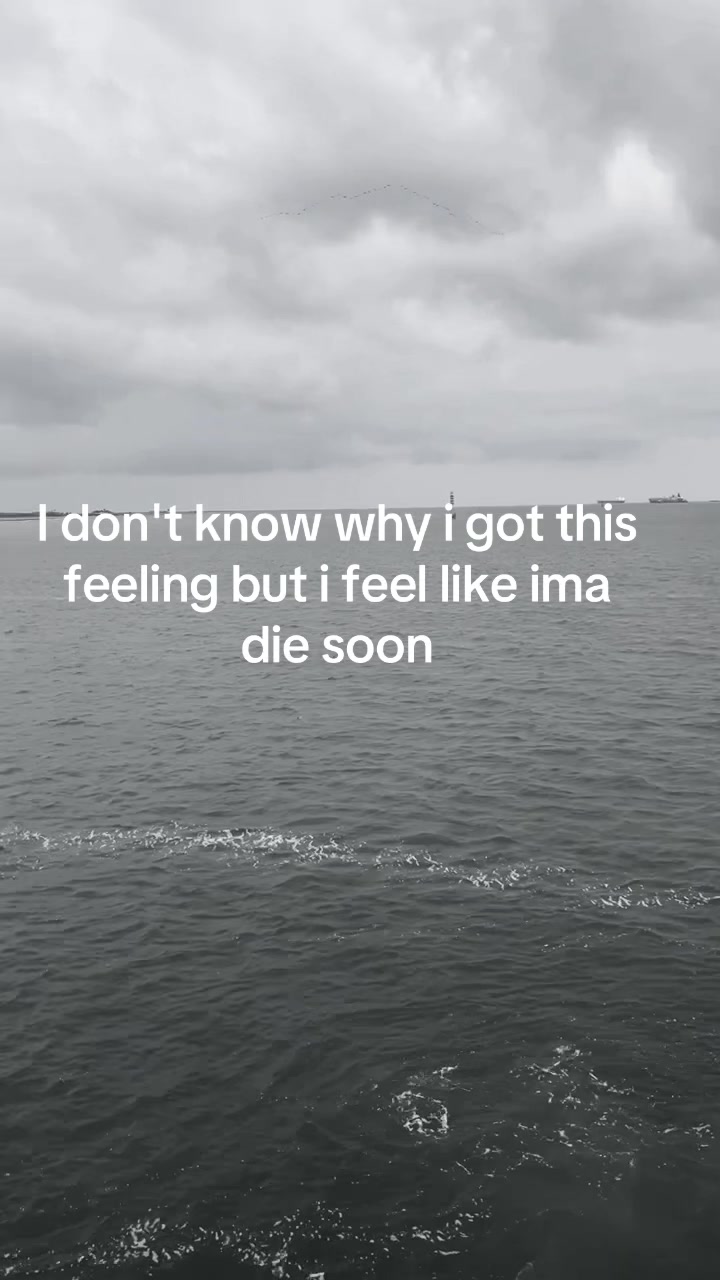 @trap.star._.l