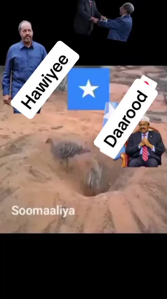@wanaagsane